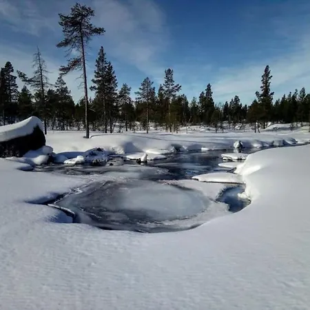 Luxury Log By Invisible Forest
